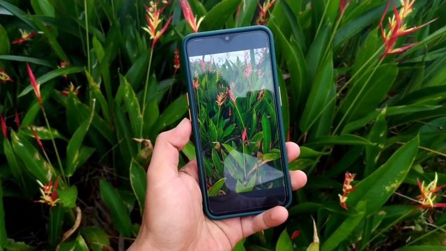 Gcam 7.4 Android Astrophotography Config Include | Google Camera Android 2020 смотреть онлайн