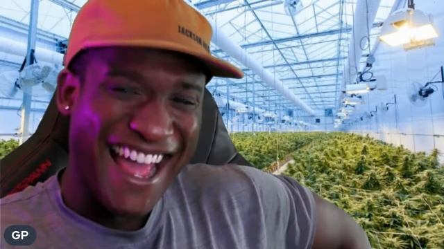 How Many Delta8 Gummies Are A Cure For Boredom