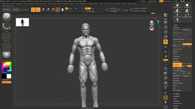 Anatomy Z-Brush sculpt смотреть онлайн
