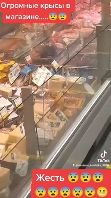 Огромные крысы в магазине продуктовом... Жесть... 😨😨😨🥵🥵🥵😧😧😧 смотреть онлайн