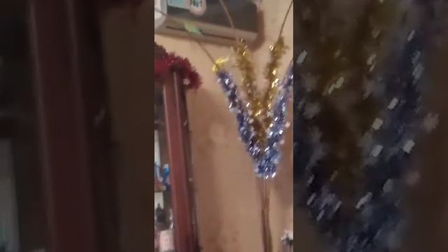 Новый год украшение Яша и Белка грызет украшение смотреть онлайн