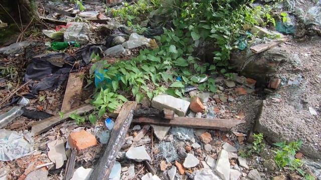 Ч.1 Обнаружен кирпичный Клондайк... (5) смотреть онлайн