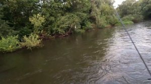 Рыбалка на Пахре