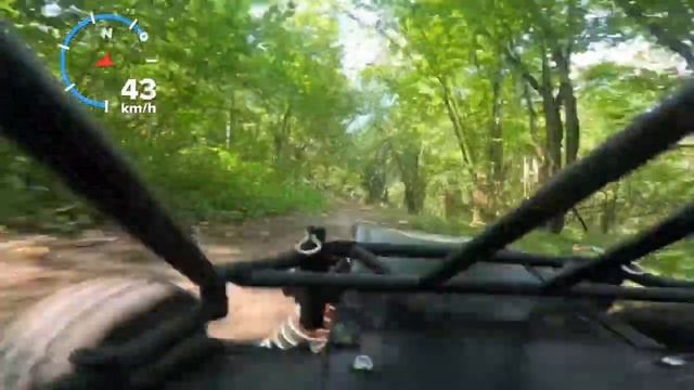 Скоростной заезд по лесу смотреть онлайн
