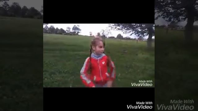 Cover  Вики шоу 