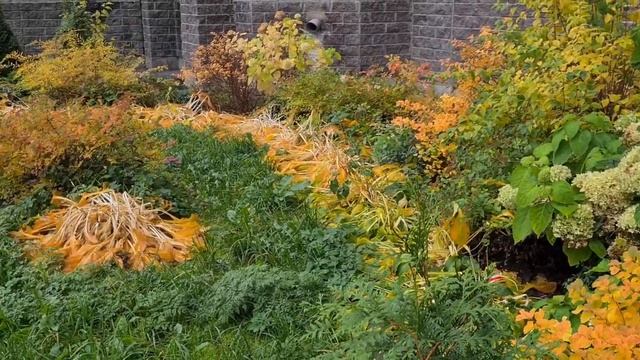 ВЛОГ | ♻️РАСХЛАМЛЕНИЕ | УБОРКА | РЕВМАТОИДНЫЙ АРТИРИТ смотреть онлайн