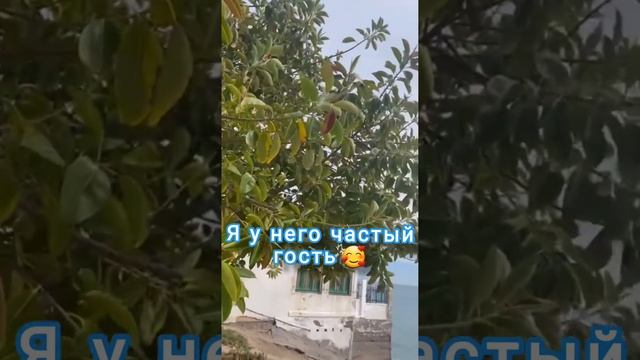 Всем прекрасного дня! 🥰Отличного настроения! 👉Делись! Достатка, мира, лада в доме🎁🌞🌝 смотреть онлайн