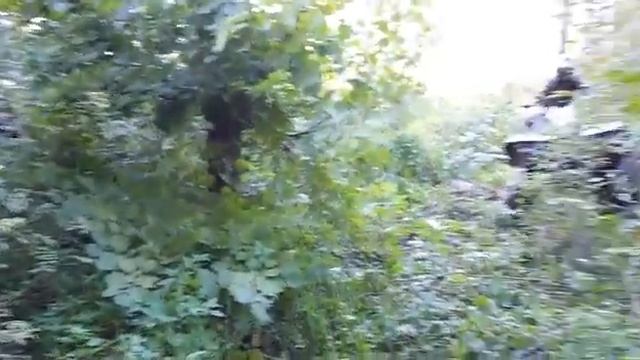 Гепард ATB Club " Раменье" ч.3 смотреть онлайн