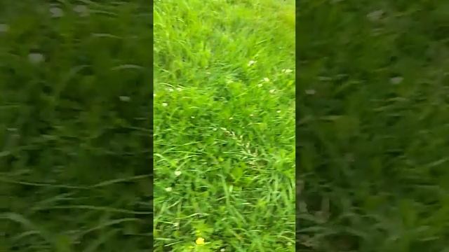 пожарная охрана работает🙏👏👏