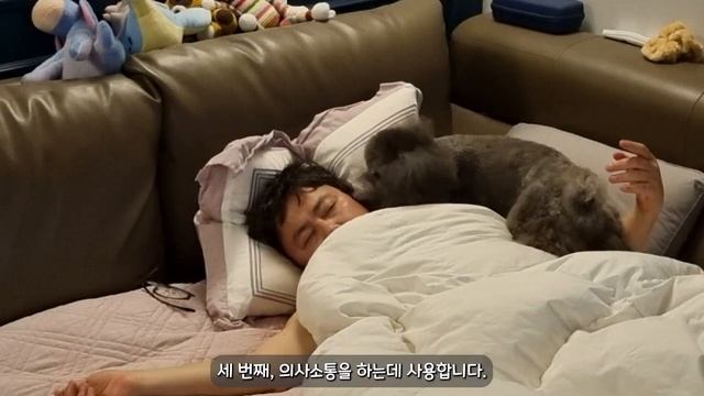 강아지는 혀를 어떻게 사용할까? 【강아지 바디랭귀지│강아지 혀 내미는 이유】