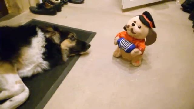 Пьяный пес)