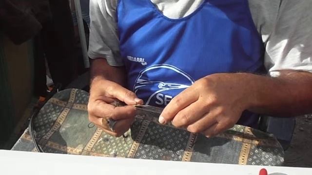 Curruca capirotada Sylvia atricapilla смотреть онлайн