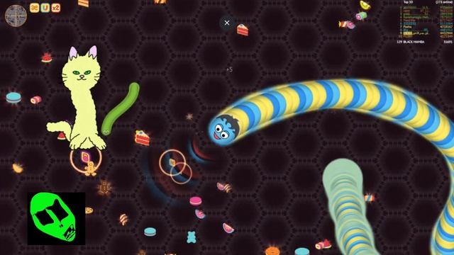 Wormate.io: BLACK MAMBA small but successful | 195 522 SCORE