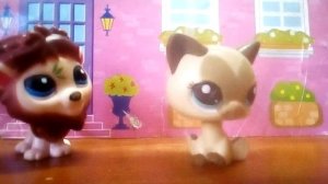 Сериал LPS: Любовь не любовь