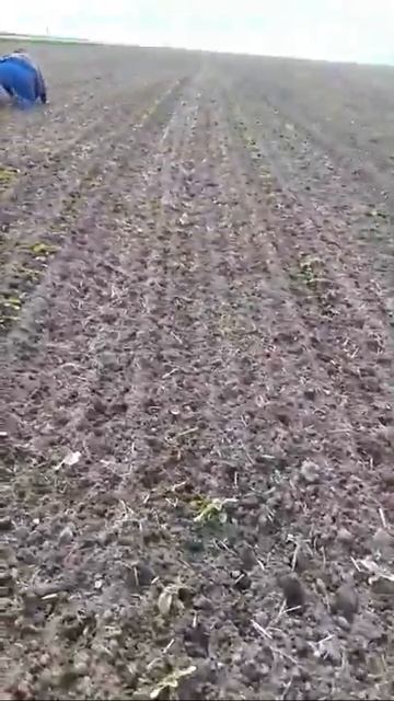 Самодельная мотыга смотреть онлайн