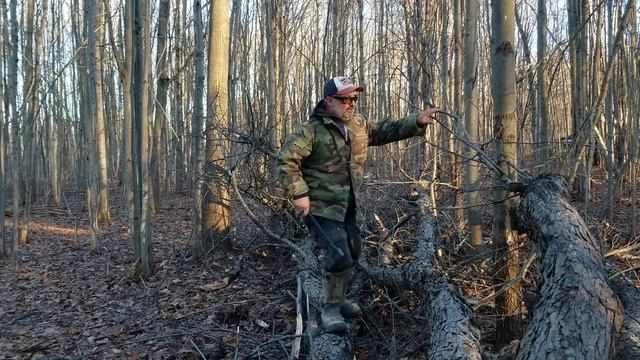 Fiskars Mini Axe ....Worth every dime....doubles as a self defense tool! смотреть онлайн