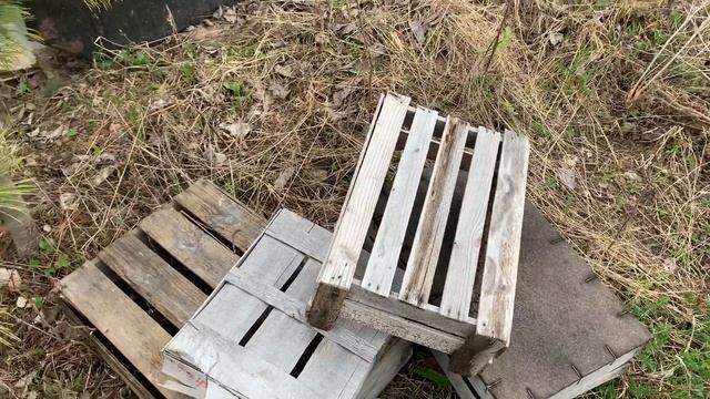 Дачные работы. Собака бегает по грядкам. Неправильно посадила розу. Град. смотреть онлайн