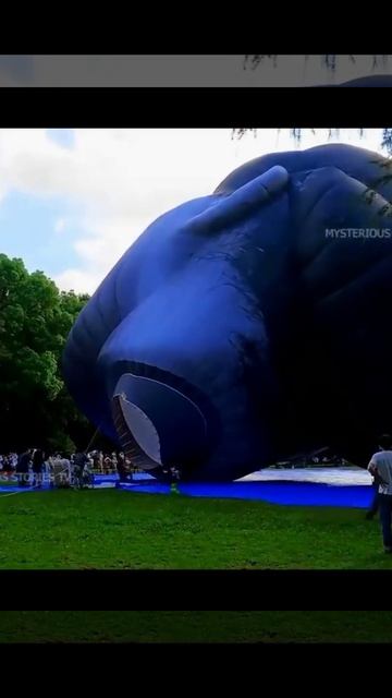 big head😱😱 #shorts смотреть онлайн