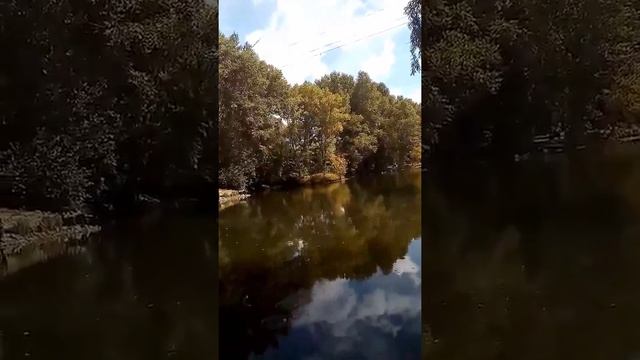 Папа рыбу ловит :-P смотреть онлайн