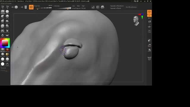 Head Sculpt - ZBrush Timelapse смотреть онлайн