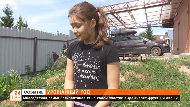 Урожайный год - радость для семьи Болховитиновых смотреть онлайн