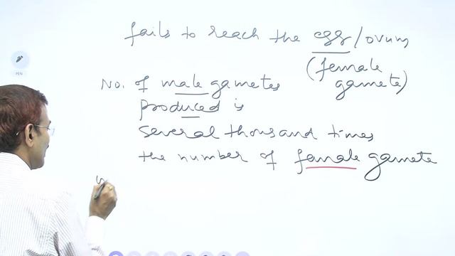 BOTANY THEORY : REPRODUCTION IN ORGANISMS-05:,19.07.2021 смотреть онлайн