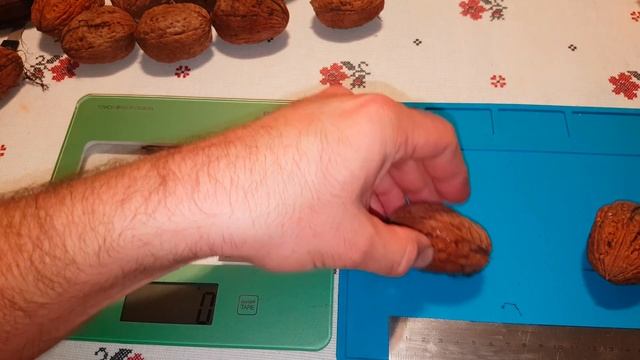 Гигантский грецкий орех Giant walnut смотреть онлайн