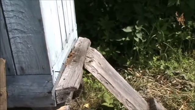 О вреде прилётной доски от земли смотреть онлайн