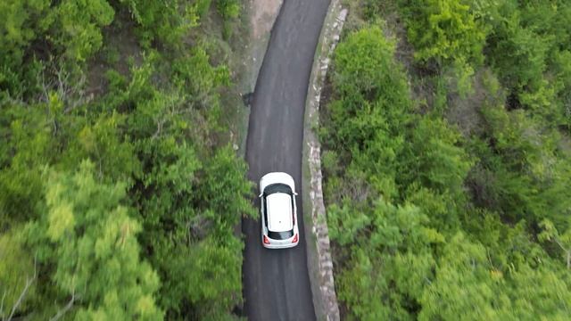 DJI Mini 3 Active track in forest Himachal смотреть онлайн