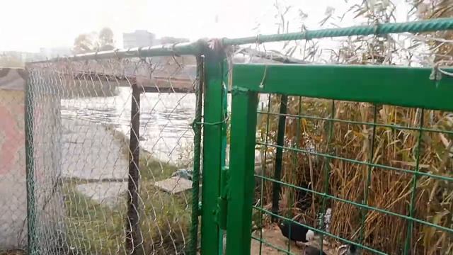 Курчатов(1) смотреть онлайн