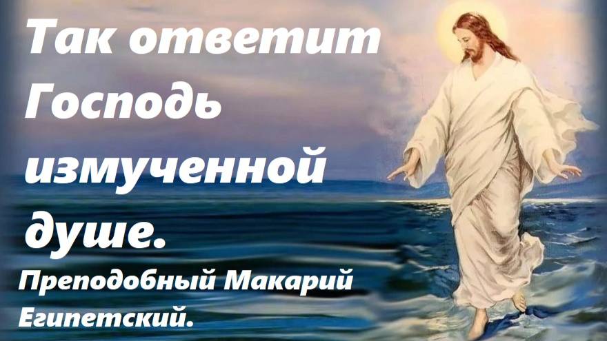 Так ответит Господь измученной  душе. Преподобный Макарий Египетский.