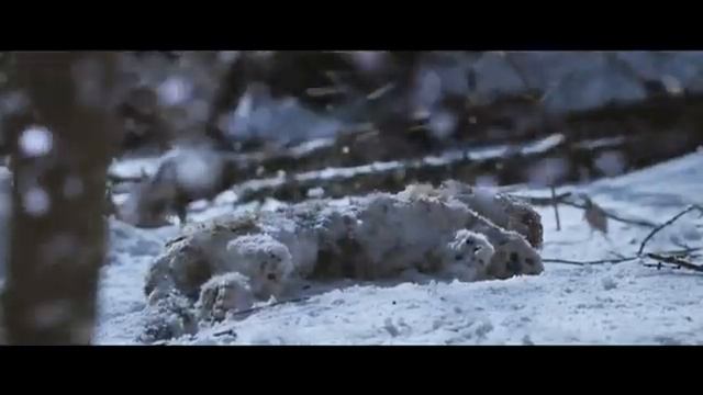 Великий тигр