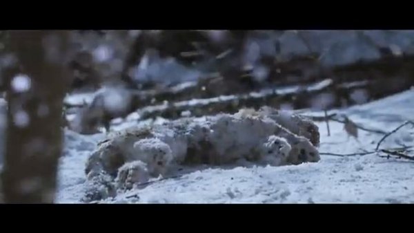 Великий тигр