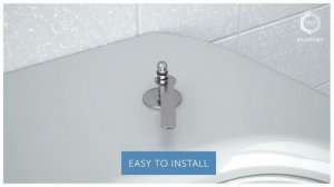 Learn How to Take Off Ideal Standard Toilet Seat and Cover
