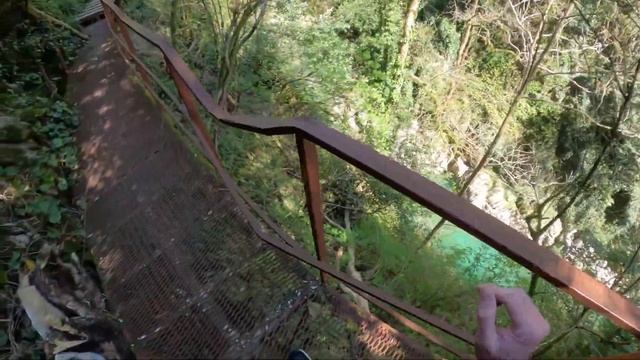 Трекинг в Сочи. Тисо-Самшитовая роща