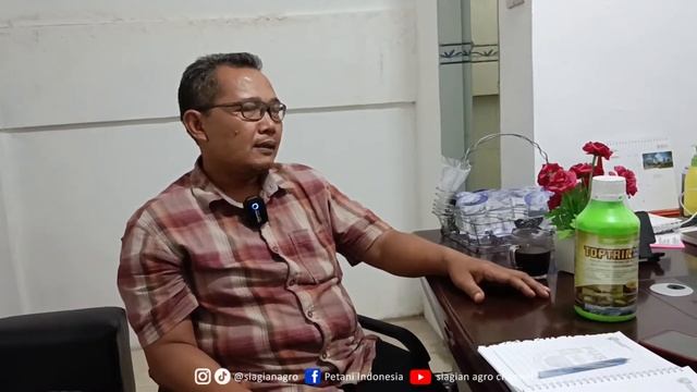 Cara Mengatasi Serangan Hama Serangga [Oryctes] Kumbang Tanduk , Ini Solusinya!!
