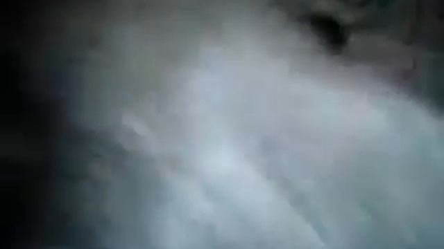 2 дневные котята деруться за еду:)) смотреть онлайн