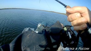 Троллинг.  Ловля щуки троллингом. Поимка воблера на 10 метрах.