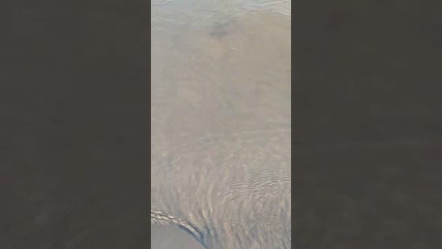 Мы на ижевском пруду смотреть онлайн