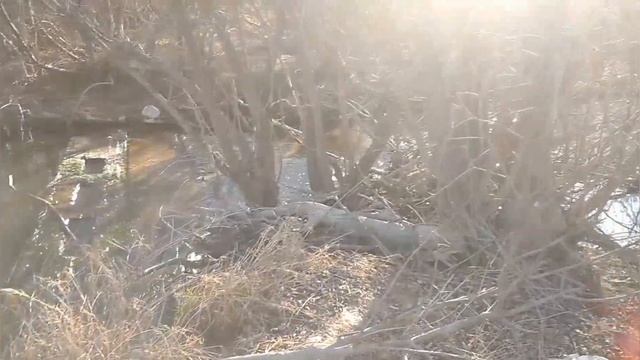 Поход за металлом и жареные сосиски у костра!