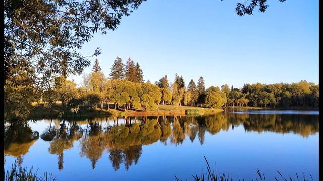 О Мандельштам  Мне стало страшно жизнь отжить #философскаялирика #поэтыCеребряноговека