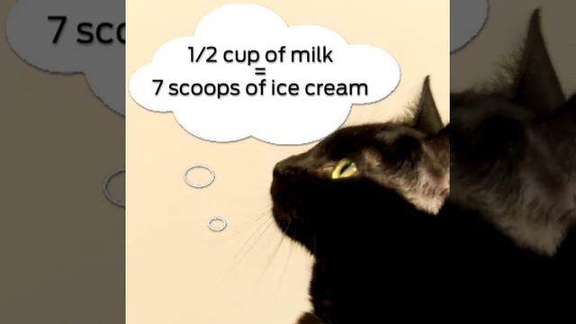 Think Before You Treat Your Cat - Purina смотреть онлайн