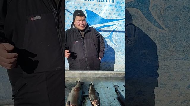 Небольшое интервью смотреть онлайн