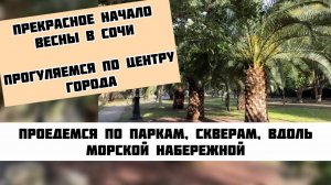 Прогулка по центру Сочи в марте 25 #житьвсочи #сочи2025 #квартиравсочи #домвсочи #недвижимостьсочи