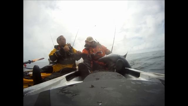 Blue shark kayak angling 2015 смотреть онлайн