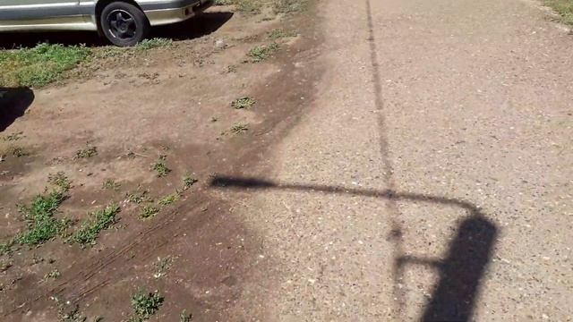 5 июня 2021 г. Белка после болезни . Гуляем 🐕🦺 смотреть онлайн