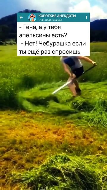 Вопрос Чебурашки #приколы #анекдоты #shortvideo смотреть онлайн