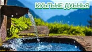 Сеймур Веледов куьгьне дуьнья