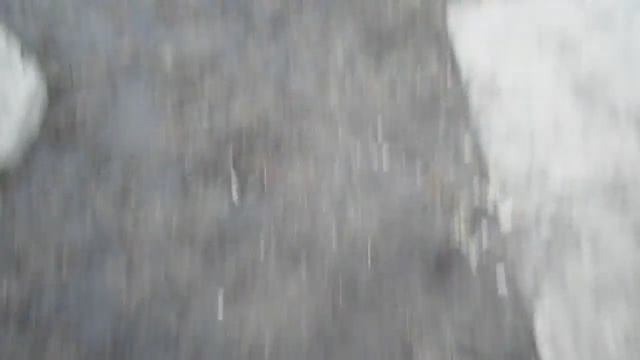 Стебемся над кошками. часть 2.