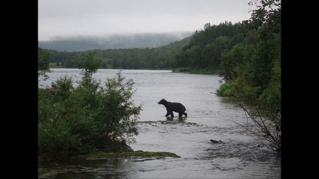 Zhupanova river смотреть онлайн